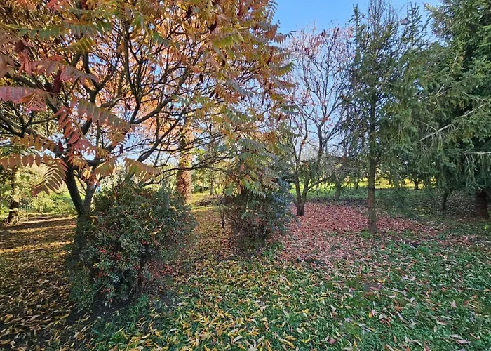 Banyasz Vendeghaz Csokvaomany