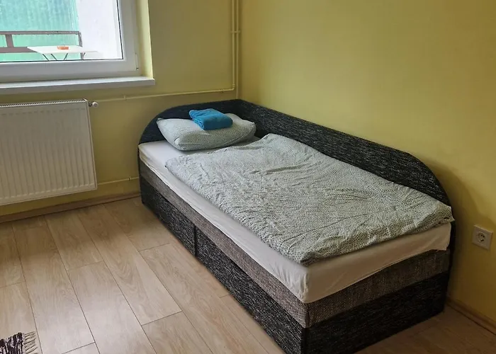 Banyasz Vendeghaz * Csokvaomany