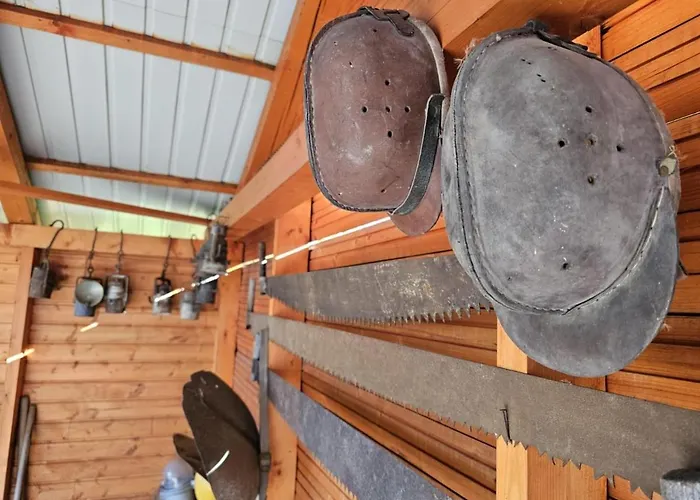 Case de vacanță Banyasz Vendeghaz Csokvaomany